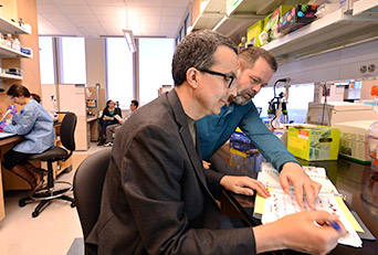 two researchers discuss their data in a laboratory